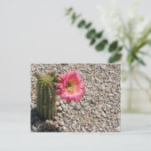 Cacti Bloom Postkarte (Stehend Vorderseite)
