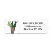 Cacti Cactus Desert Script Moderne Sukkulturen (Vorne)