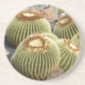 Cacti Coaster Untersetzer (Vorne)