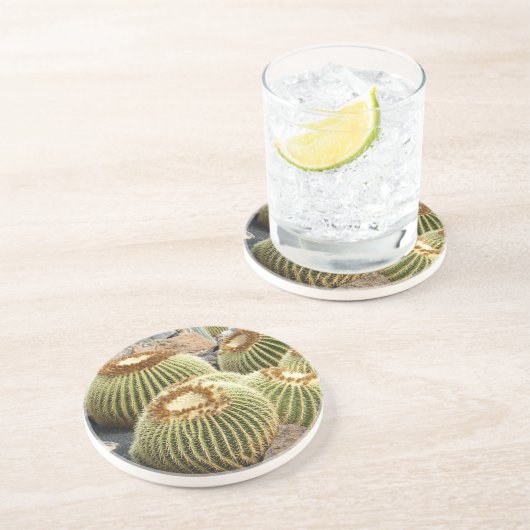Cacti Coaster Untersetzer (Seite)