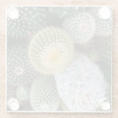 Cacti Glass Untersetzer (Rückseite)