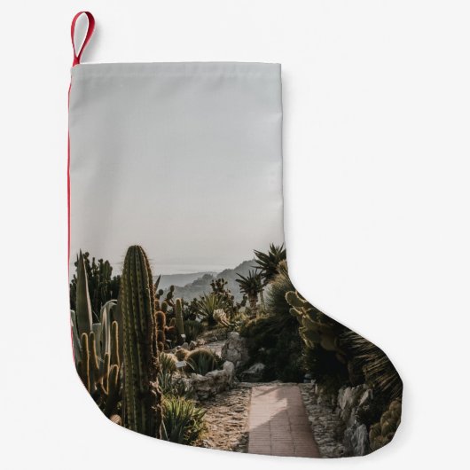 CACTI HILL KLEINER WEIHNACHTSSTRUMPF (Vorderseite)