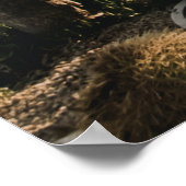 CACTI HILL POSTER (Ecke)