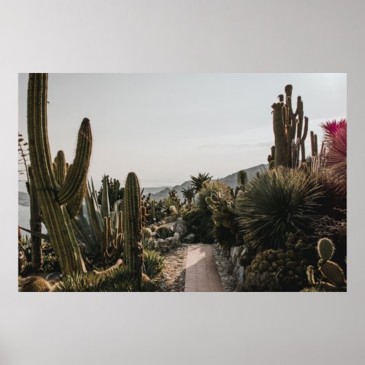 CACTI HILL POSTER (Vorne)