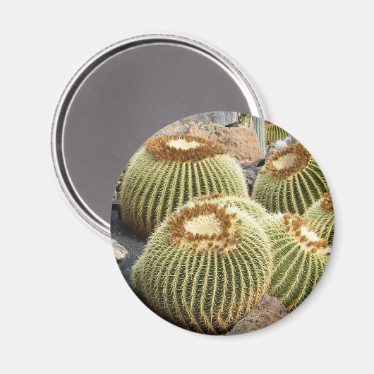 Cacti-Magnet Magnet (Vorderseite/Rückseite)