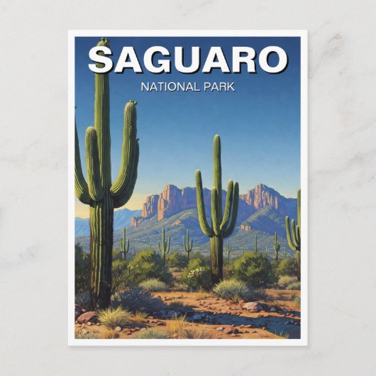 Cacti - Nationalpark Saguaro Postkarte (Vorderseite)