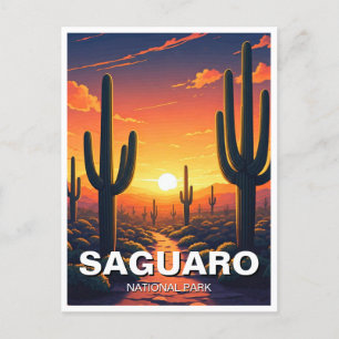 Cacti - Nationalpark Saguaro Postkarte