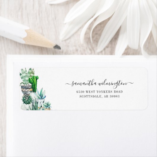 Cacti-Pflanze Botanische Script-Rücksendeadresse (Insitu)