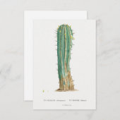 Cacti-Pflanze Vintage Abbildung (Vorne/Hinten)