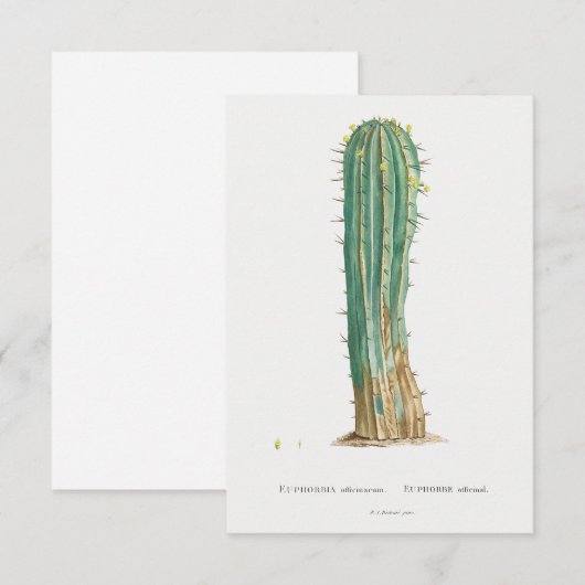 Cacti-Pflanze Vintage Abbildung (Vorne/Hinten)