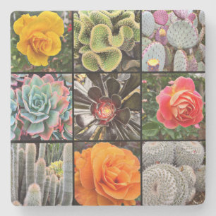 Cacti Rose Blume Fotografie Collage Modern Bold Steinuntersetzer