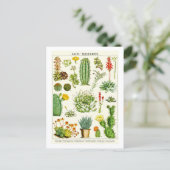 Cacti Succulents Botanical Illustration Postcard Postkarte (Stehend Vorderseite)