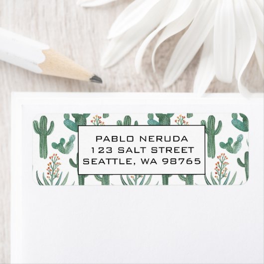 Cacti & Succulents Desert CUSTOM Mailadresse (Insitu)