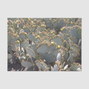 Cacti-Tissue-Papier Seidenpapier