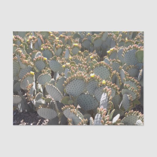 Cacti-Tissue-Papier Seidenpapier (Vorderseite)