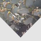 Cacti-Tissue-Papier Seidenpapier (Ausschnitt)