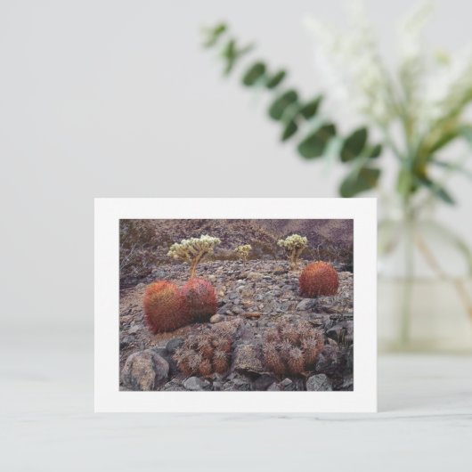 " Cacti Variety Pack " Postkarte (Stehend Vorderseite)