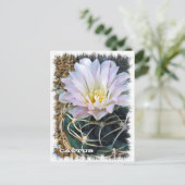 Cactus ポストカード postkarte (Stehend Vorderseite)