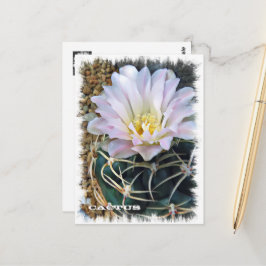 Cactus ポストカード postkarte