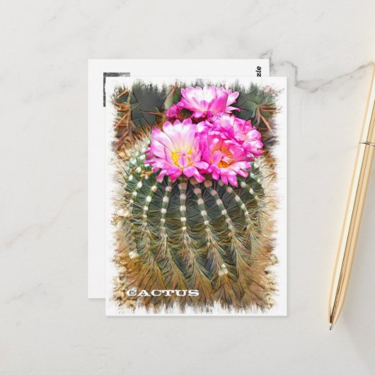 Cactus ポストカード postkarte (Vorderseite/Rückseite Beispiel)
