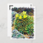 Cactus ポストカード postkarte (Vorne/Hinten)