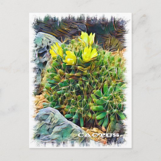 Cactus ポストカード postkarte (Vorderseite)
