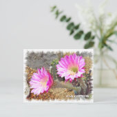 Cactus ポストカード postkarte (Stehend Vorderseite)