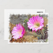 Cactus ポストカード postkarte (Vorne/Hinten)