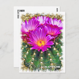 Cactus ポストカード postkarte