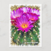 Cactus ポストカード postkarte (Vorderseite)