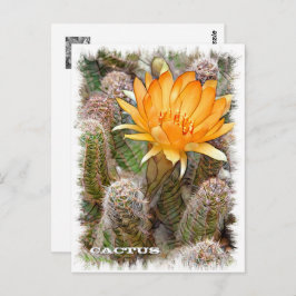 Cactus ポストカード postkarte
