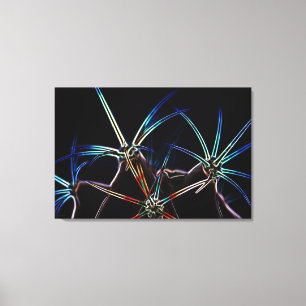 Cactus 1 36x24 (90x60cm) Waccn Leinwanddruck