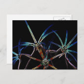 Cactus 1 pccnm postkarte (Vorne/Hinten)