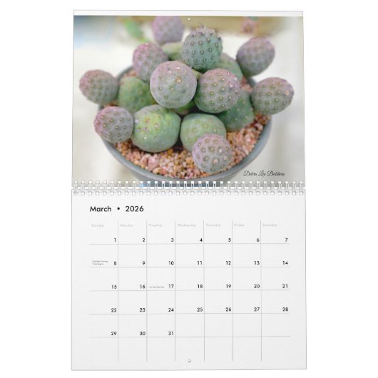 Cactus 202X Calendar by Debra Lee Baldwin Kalender (Mär 2026)