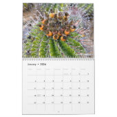 Cactus 202X Calendar by Debra Lee Baldwin Kalender (Jan 2026)