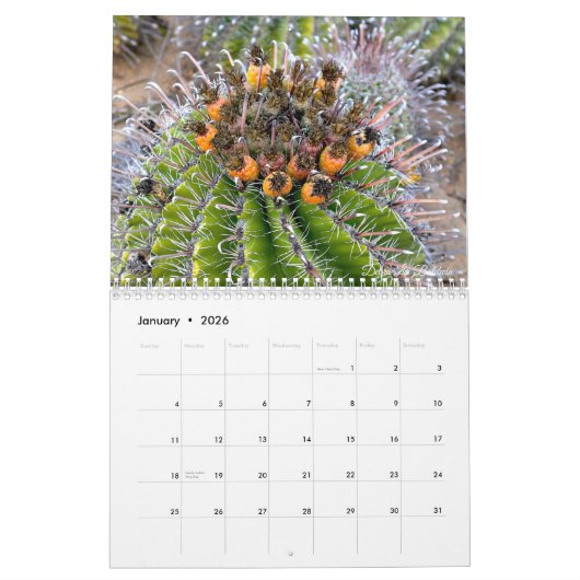 Cactus 202X Calendar by Debra Lee Baldwin Kalender (Jan 2026)