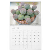 Cactus 202X Calendar by Debra Lee Baldwin Kalender (Mär 2027)