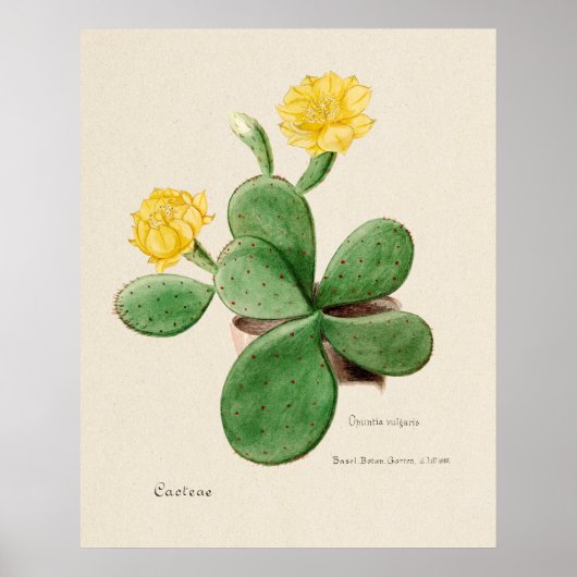 Cactus 2 Poster (Vorne)