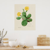 Cactus 2 Poster (Küche)