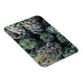 Cactus 3"x4" Magnet (Rechte Seite)
