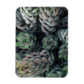 Cactus 3"x4" Magnet (Vertikal)