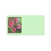 Cactus Address Labels Adressaufkleber (Vorne)