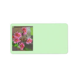 Cactus Address Labels Adressaufkleber