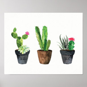 Cactus and Succulent Trio Two Poster