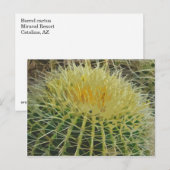 Cactus art #1 Postcard Postkarte (Vorne/Hinten)