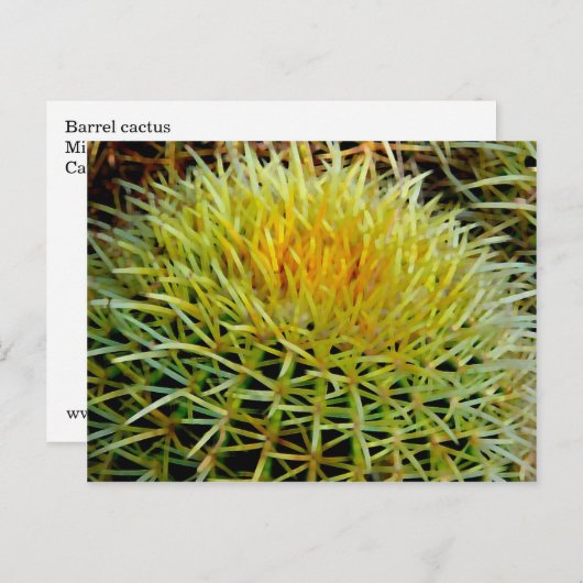 Cactus art #2 Postcard Postkarte (Vorne/Hinten)