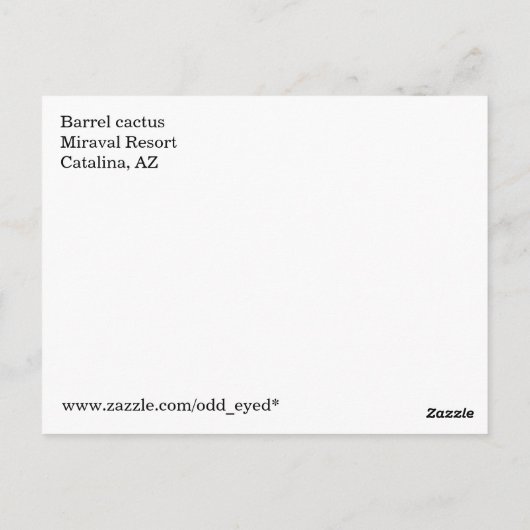 Cactus art #2 Postcard Postkarte (Rückseite)