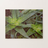 Cactus Art Nature Puzzle (Horizontal)