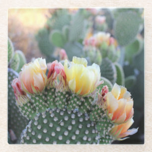 Cactus bloms Yellow Pink Wüste Blume Foto Glasuntersetzer