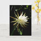 Cactus Bloom Card Karte (Gelbe Blume)